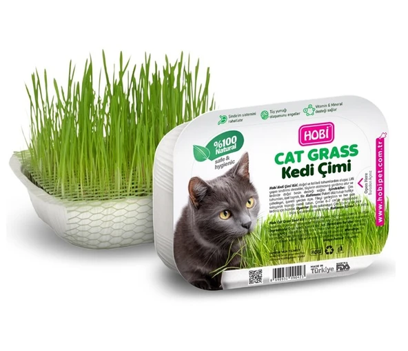 Hobi Fileli Kedi Çimi Cat Grass Ekonomik - Sindirim Dostu ve Eğlenceli Aktivite ürün görseli