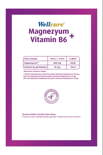 Wellcare Magnezyum + Vitamin B6 30 Tablet 3 Adet - Resim 3