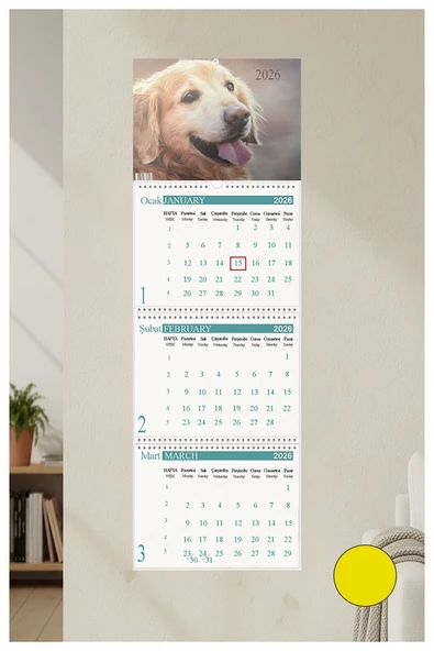 2026 Duvar Takvimi Köpek Resimli 3 Aylık Gemici Takvimi Hayvan Resimli Jumbo Boy Askılı Spiralli Takvim Yeni Yıl Takvim ürün görseli 1