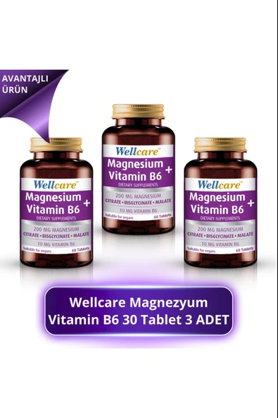 Wellcare Magnezyum + Vitamin B6 30 Tablet 3 Adet ürün görseli