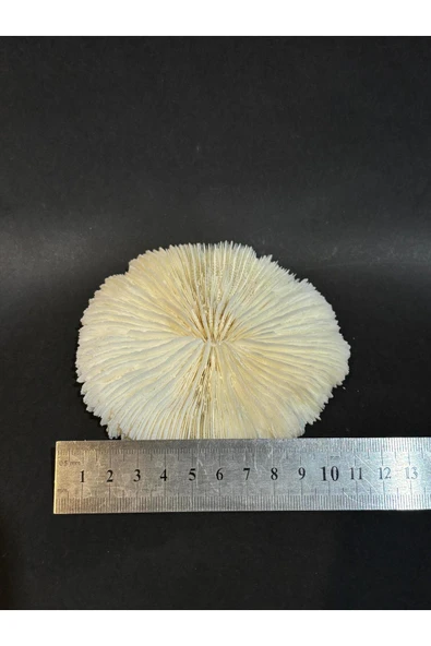 gemsartdeco MANTAR MERCAN - Resim 4