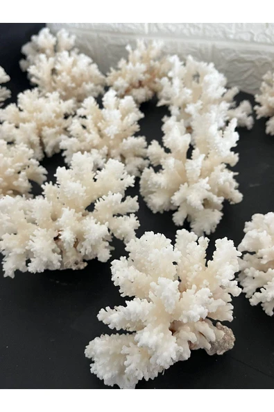 gemsartdeco Mercan Doğaltaş Boy 4 - Resim 3