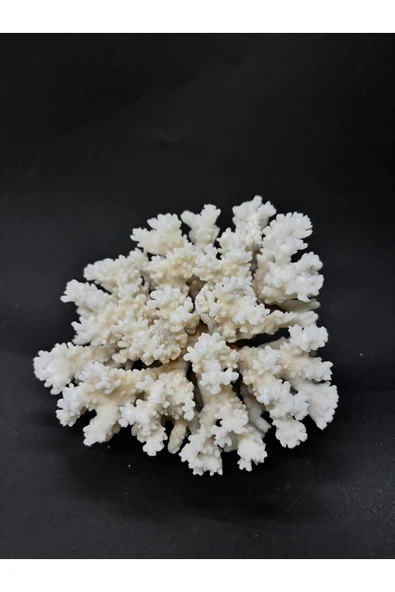 gemsartdeco MERCAN - Resim 2