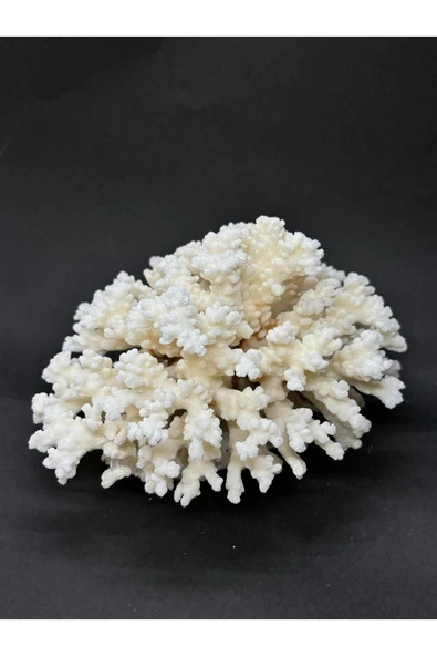 gemsartdeco MERCAN ürün görseli