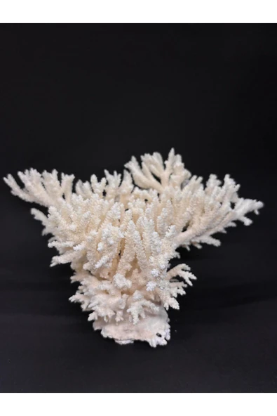 gemsartdeco İNCE DAL MERCAN CORAL CLUSTER - Resim 3