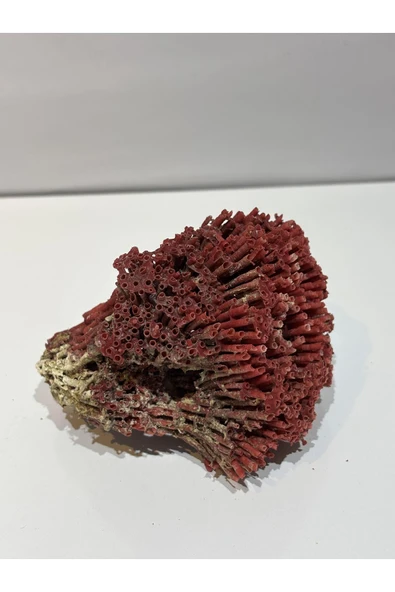 gemsartdeco KIRMIZI MERCAN DOĞALTAŞ ürün görseli