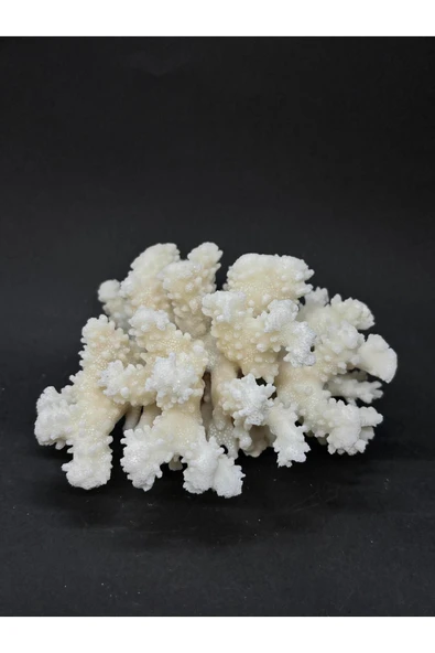 gemsartdeco MERCAN - Resim 2