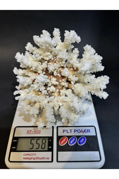 gemsartdeco MERCAN - Resim 5