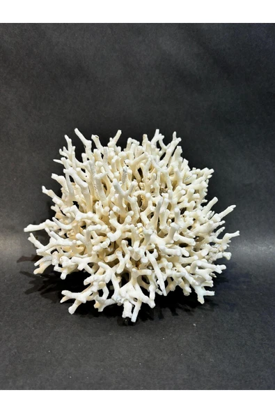 gemsartdeco İNCE DAL MERCAN ürün görseli