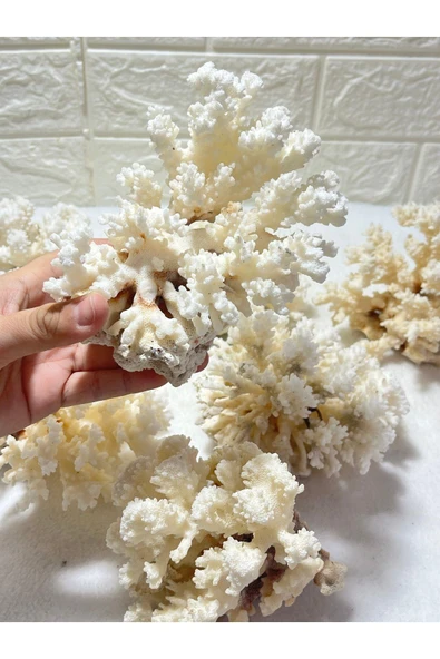 gemsartdeco Mercan Doğaltaş Boy 7 - Resim 3