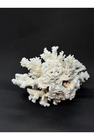 gemsartdeco MERCAN - Resim 4