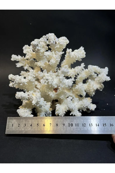 gemsartdeco MERCAN - Resim 6