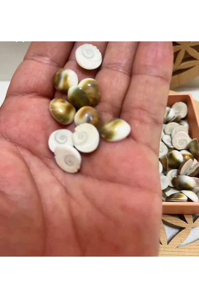 gemsartdeco Yılancık Taşı 9 ADET (1 adet Yavru Hediyeli) - Resim 3