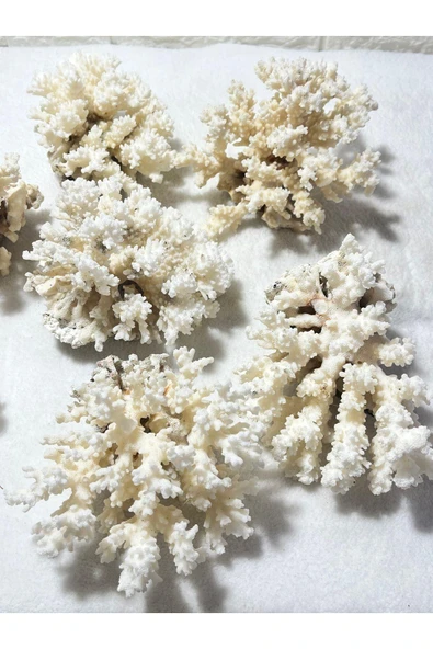 gemsartdeco Mercan Doğaltaş Boy 7 ürün görseli