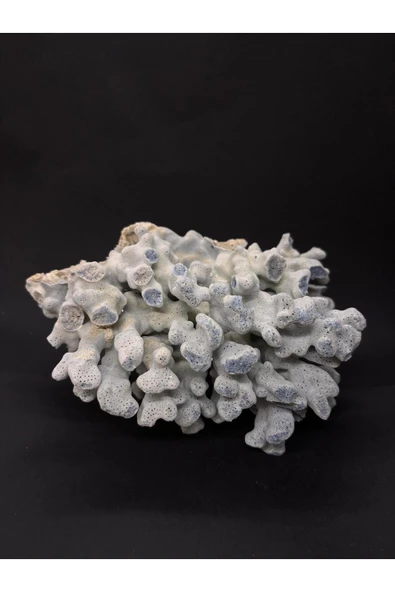 gemsartdeco MAVİ MERCAN - Resim 3