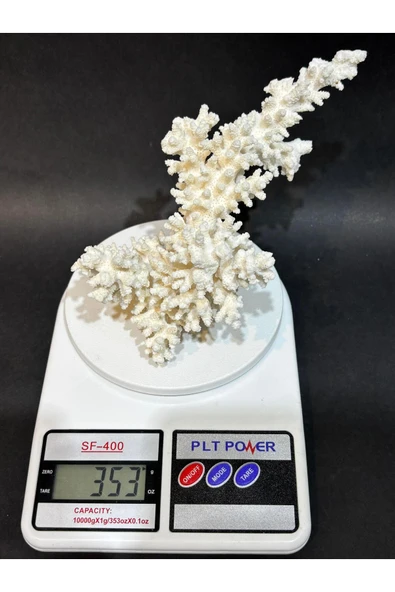 gemsartdeco DAL MERCAN - Resim 8