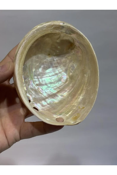 gemsartdeco ASIMILIS KABUK - Resim 7