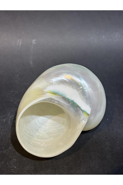 gemsartdeco Turbo Burges Kabuk - Resim 6