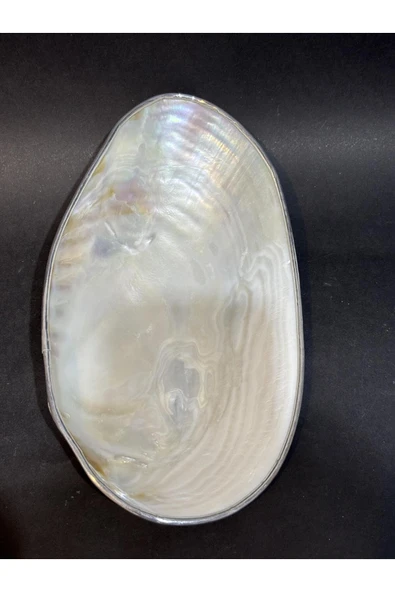 gemsartdeco KABUK XXL GÜMÜŞ ÇERÇEVELİ - Resim 6