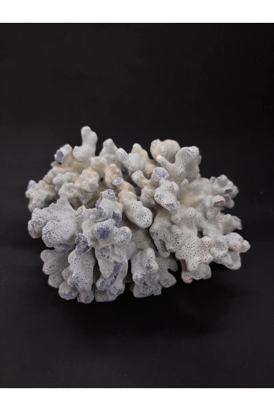 gemsartdeco MAVİ MERCAN - Resim 4