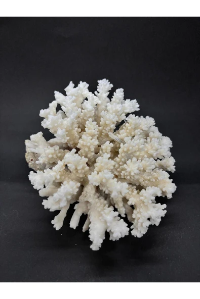 gemsartdeco MERCAN ürün görseli