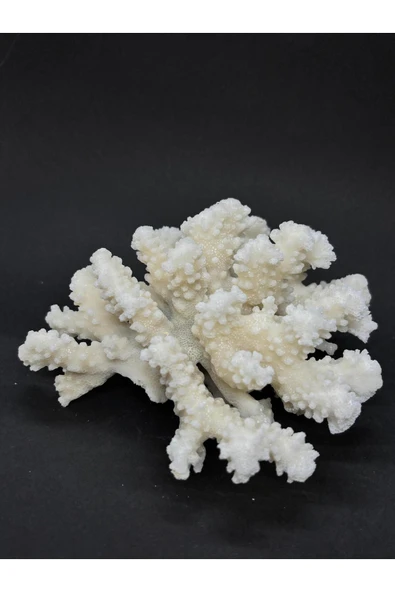 gemsartdeco MERCAN ürün görseli