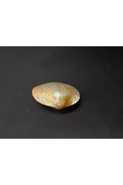 gemsartdeco CABEBE KABUK - Resim 6