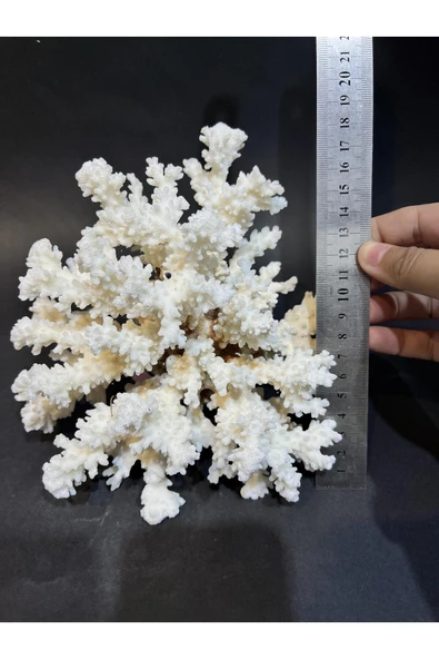 gemsartdeco MERCAN - Resim 4