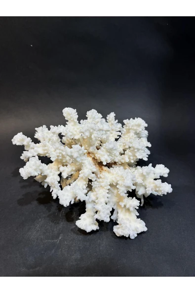 gemsartdeco MERCAN - Resim 2