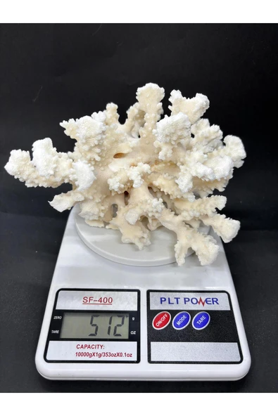 gemsartdeco MERCAN - Resim 7