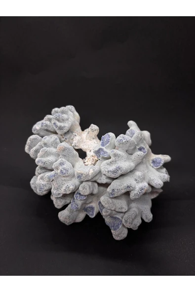 gemsartdeco MAVİ MERCAN - Resim 3