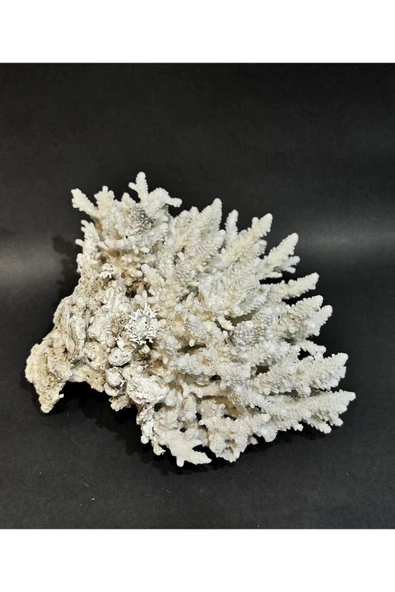 gemsartdeco DAL MERCAN - Resim 3