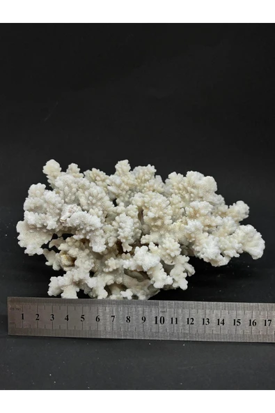 gemsartdeco MERCAN - Resim 4