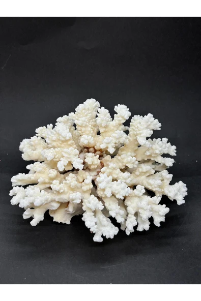 gemsartdeco MERCAN - Resim 2