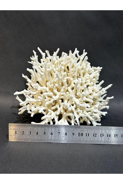 gemsartdeco İNCE DAL MERCAN - Resim 4