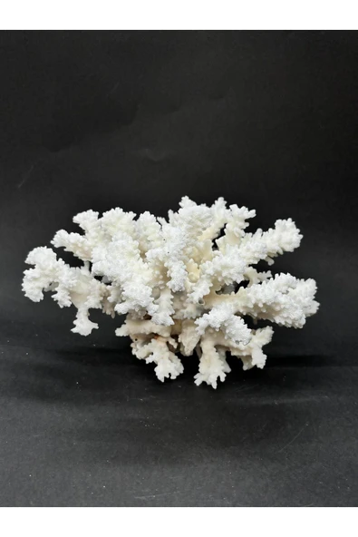 gemsartdeco MERCAN - Resim 2