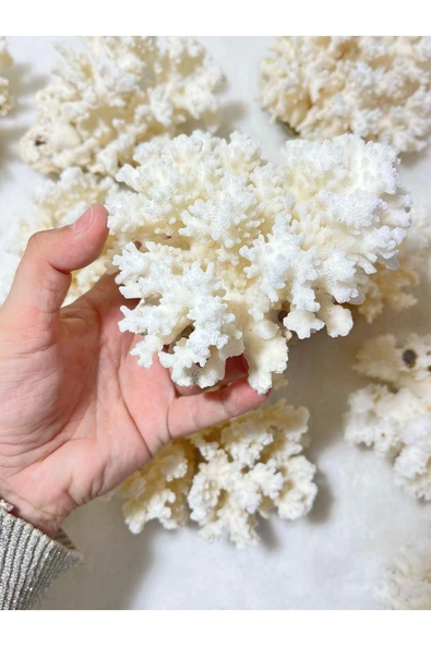 gemsartdeco Mercan Doğaltaş Boy 6 - Resim 3