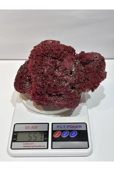 gemsartdeco KIRMIZI MERCAN DOĞALTAŞ - Resim 7