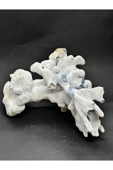 gemsartdeco MAVİ MERCAN - Resim 7