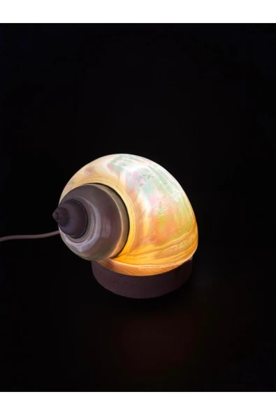 gemsartdeco NAUTİLUS KABUK GECE LAMBASI - Resim 2