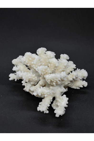 gemsartdeco MERCAN - Resim 3