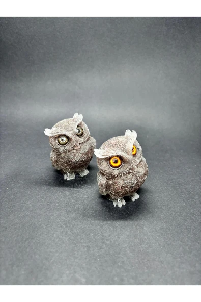 gemsartdeco AMETİST BAYKUŞ ORGONİTİ - Resim 3