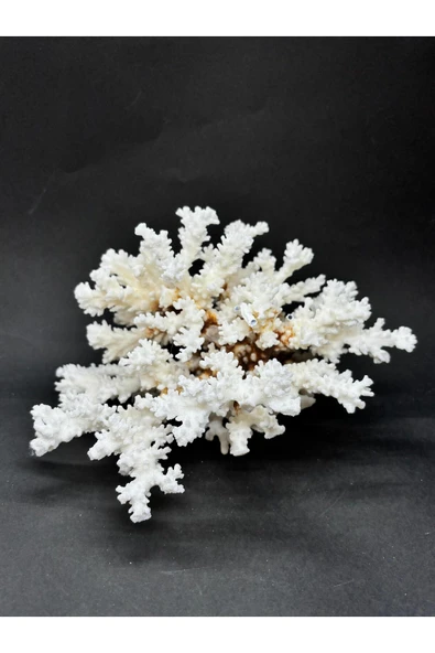 gemsartdeco MERCAN ürün görseli 1