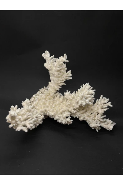 gemsartdeco DAL MERCAN - Resim 6