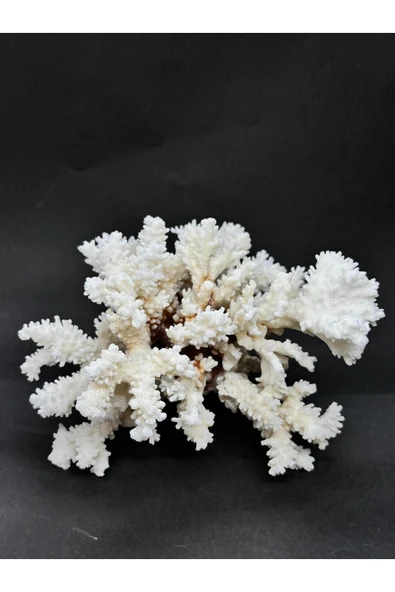 gemsartdeco MERCAN - Resim 4