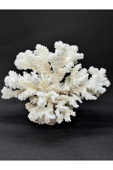 gemsartdeco MERCAN ürün görseli