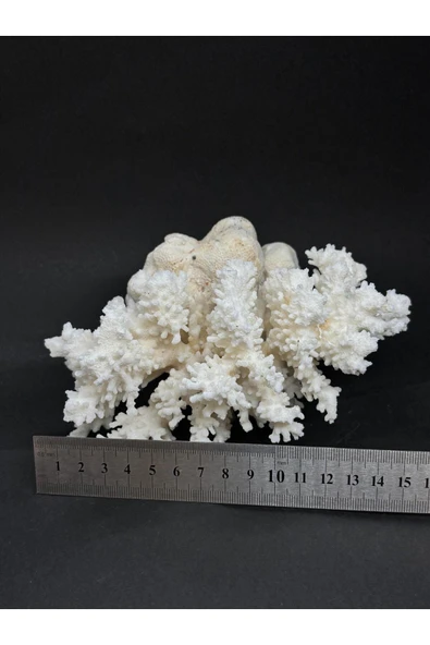 gemsartdeco MERCAN - Resim 5