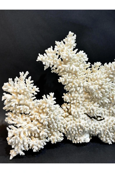 gemsartdeco DAL MERCAN - Resim 2