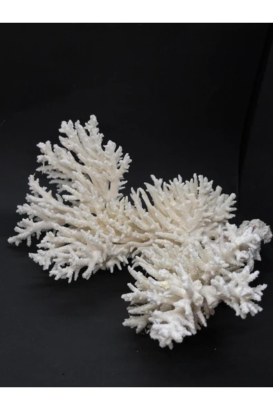 gemsartdeco DAL MERCAN - Resim 4