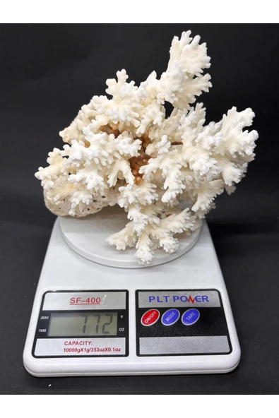 gemsartdeco Dal Mercan Harika Koleksiyon - Resim 8